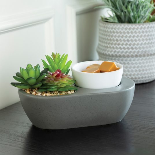 Succulent Wax Warmer