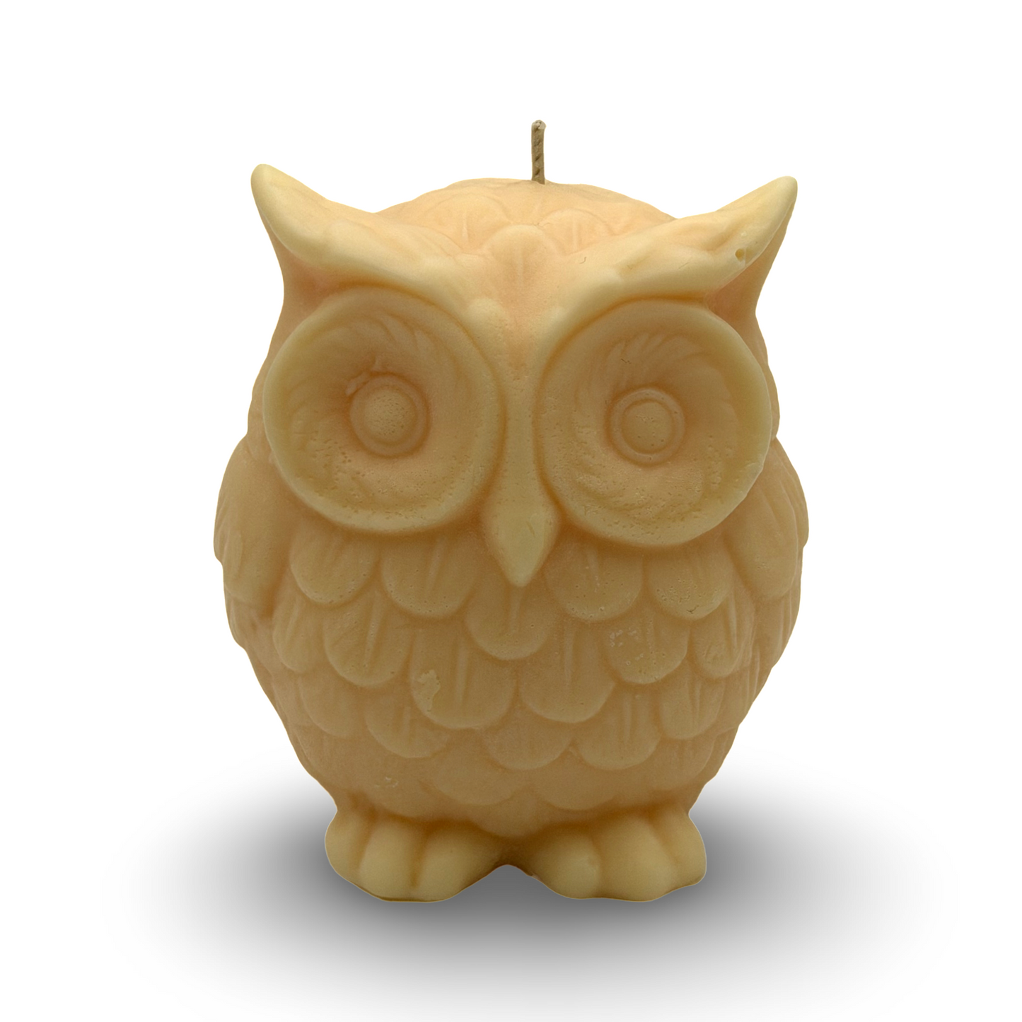 Owl Pillar Candle